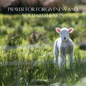 ▶ Prayer for Forgiveness and Softened Hearts